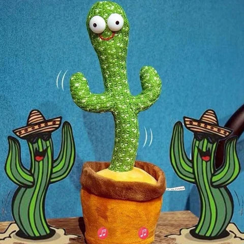 Cactus Bailarín - Kidsy